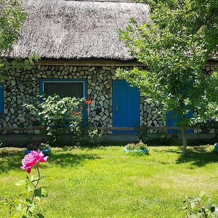 Pensiunea Iubire De Delta " La Traian " Murighiol Buitenkant foto