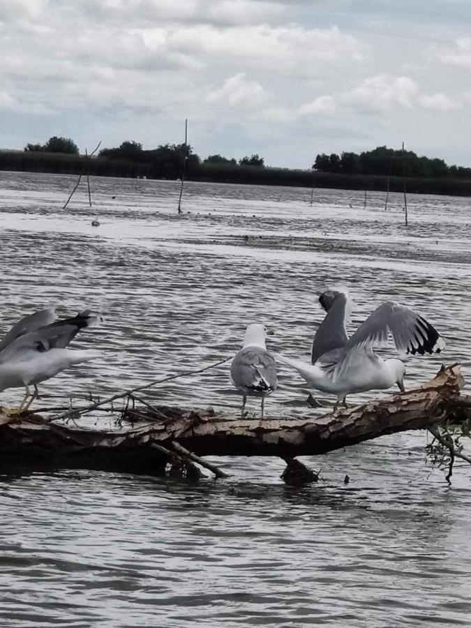Pensiunea Iubire De Delta " La Traian " Murighiol Buitenkant foto